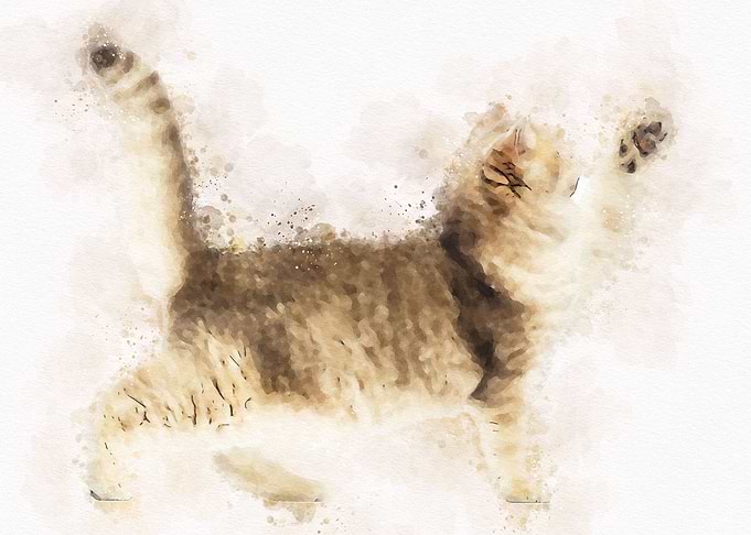 Watercolor Cat Cute
