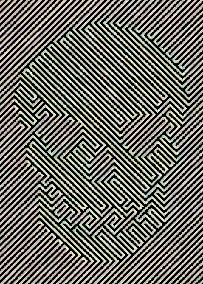 Skull Illusion art