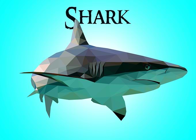 Shark