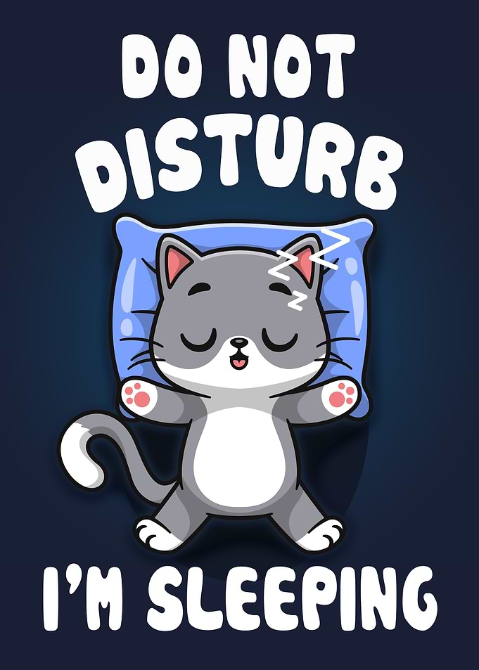 Cat Sleep Dont Disturb