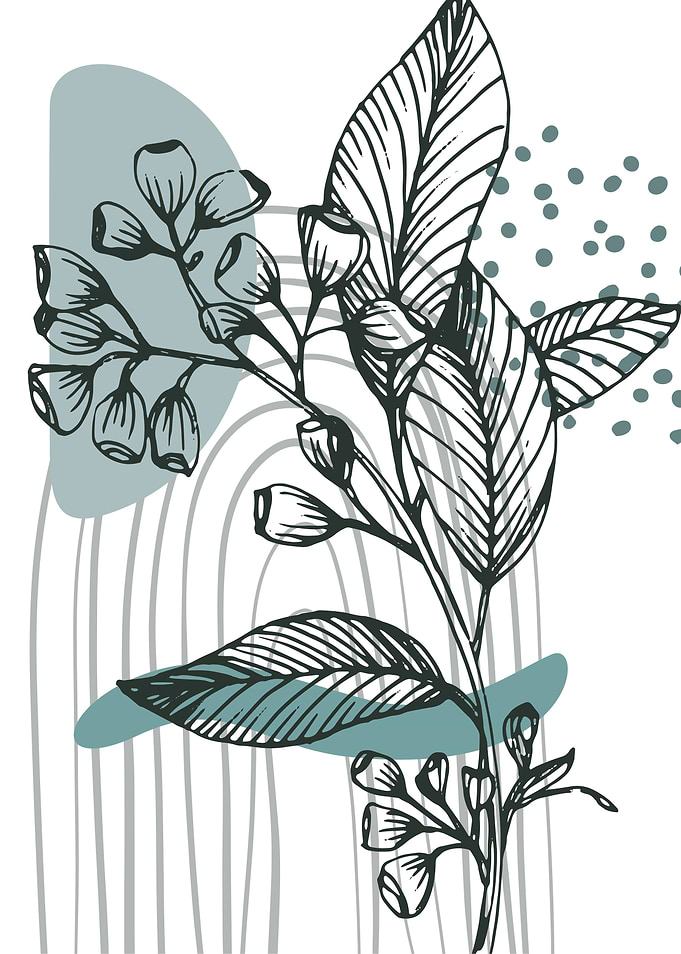 Eucalyptus Minimal