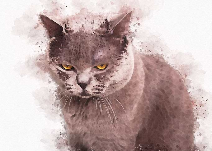 Cute Cat Watercolor