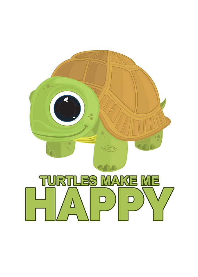 Turtles Make Me Happy