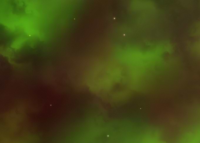 Forest Ground Nebua