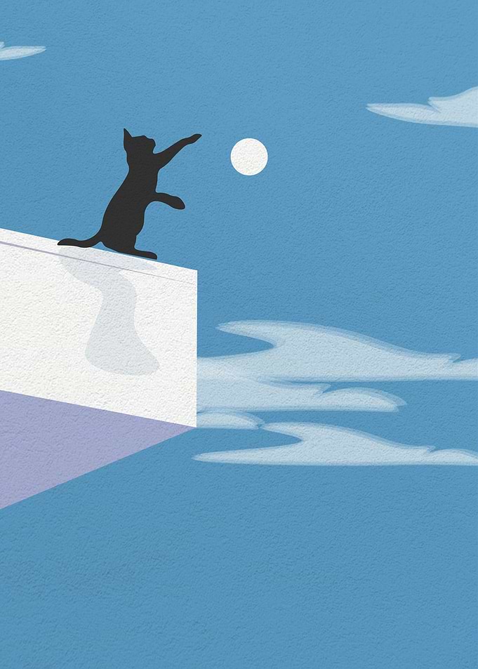 Cat Playing on the Roof