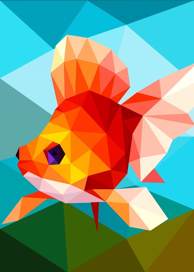 Goldfish