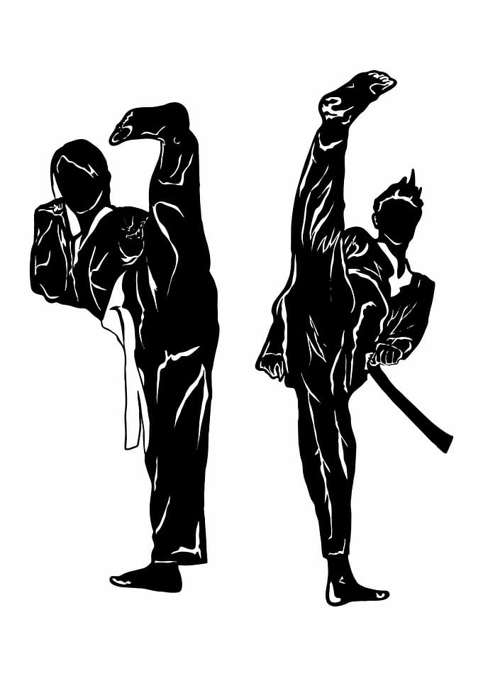 Martial Art