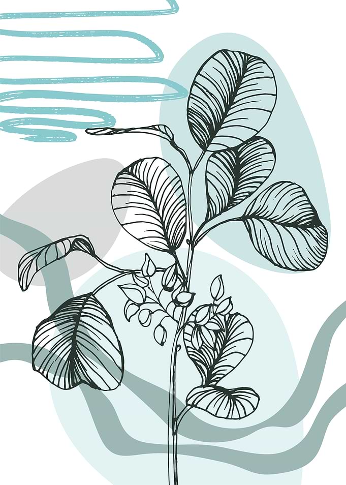 Modern Eucalyptus