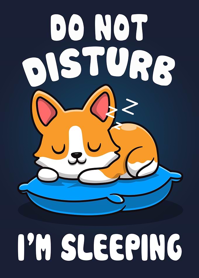 Corgi Sleep Dont Disturb