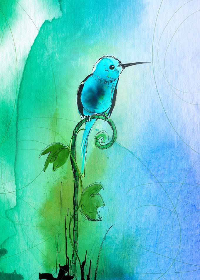 Focus bird