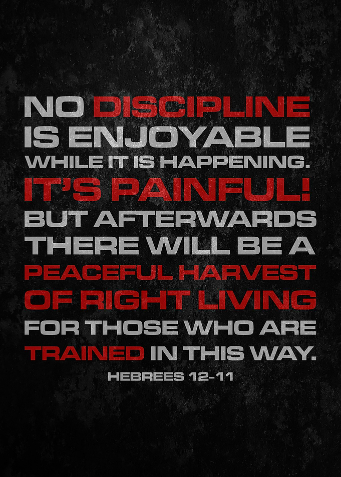 Discipline