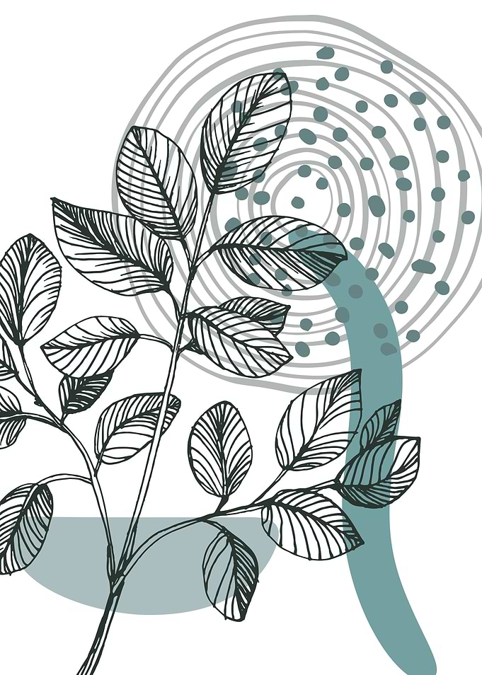 Eucalyptus Neutral