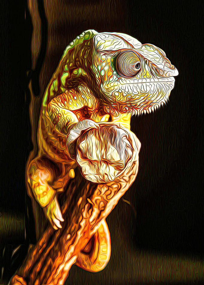 Chameleon