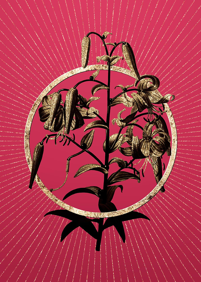 Tiger Lily on Viva Magenta