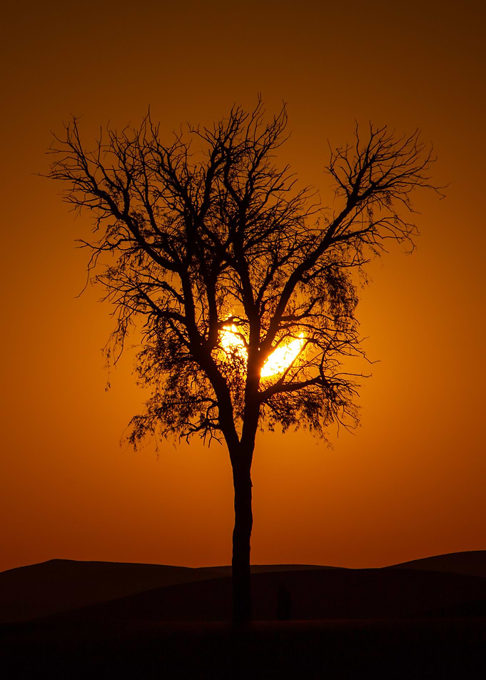Sun Rise