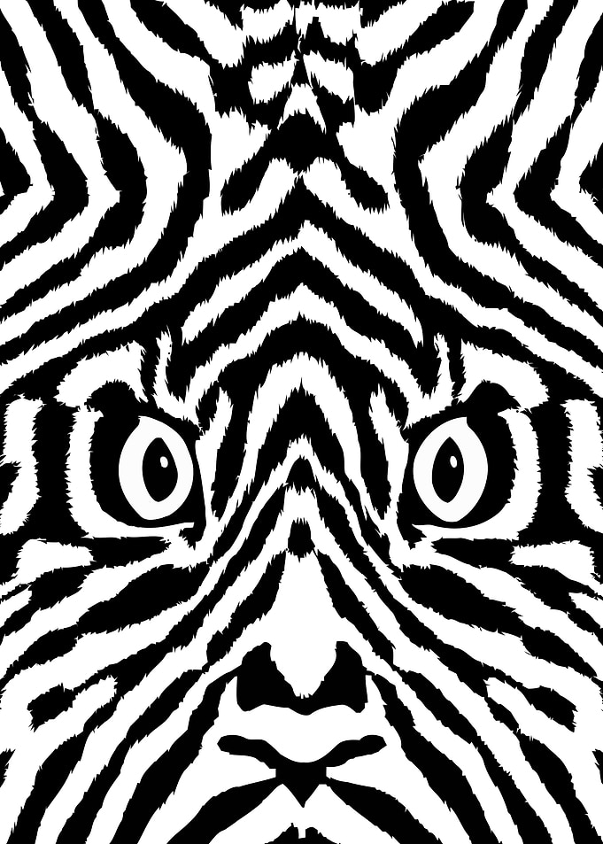 Tiger Skin