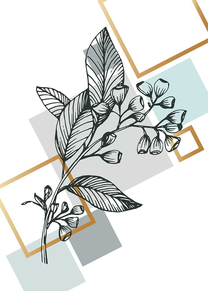 Eucalyptus Minimal