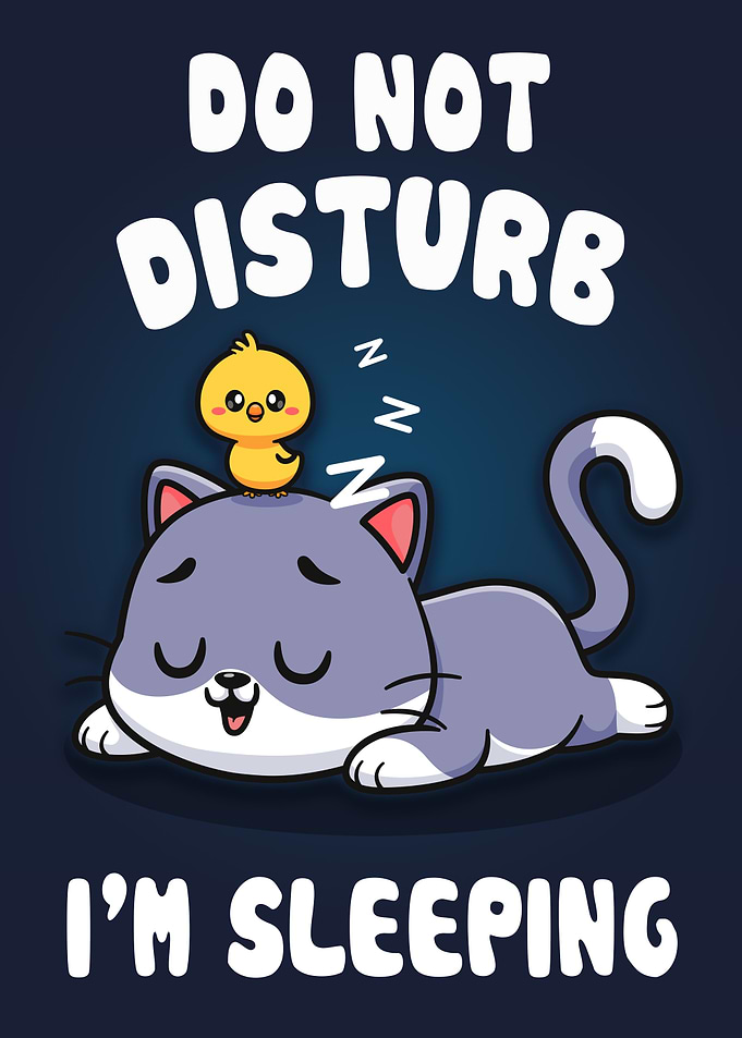 Cat Sleep Dont Disturb