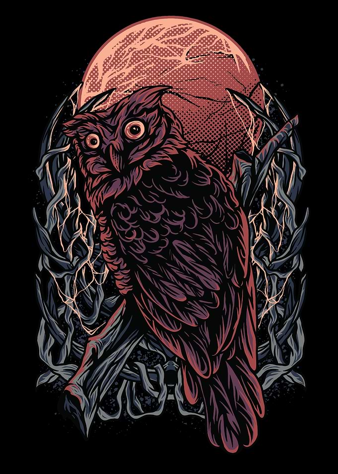 Owl darkness