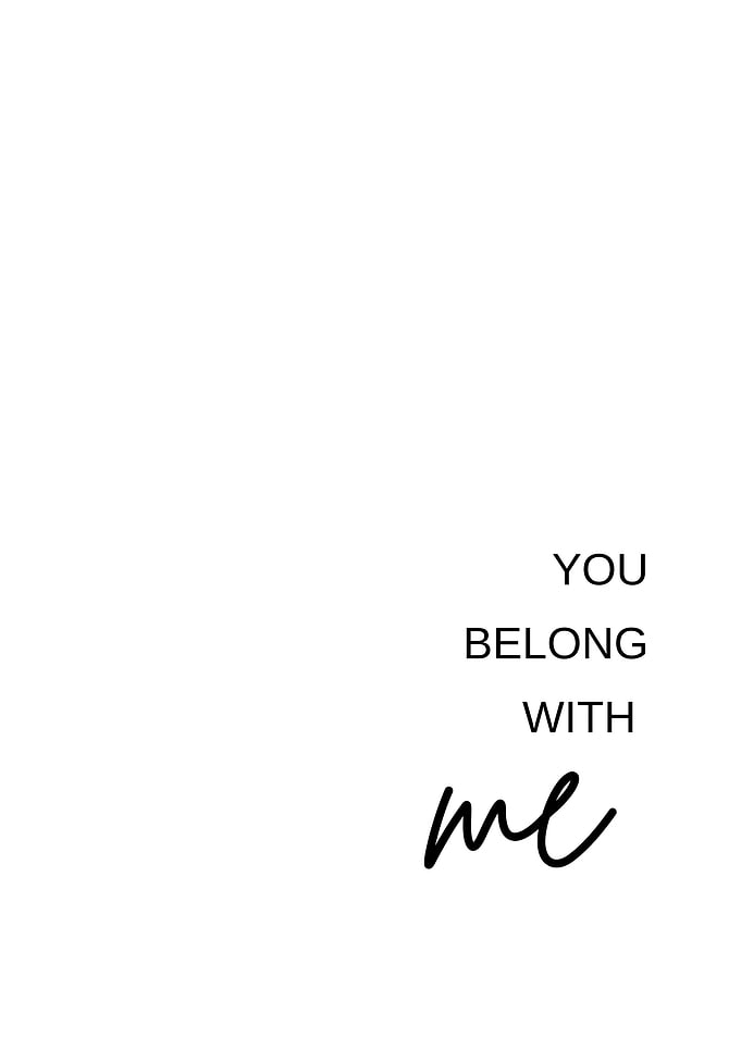 You Belong With Me