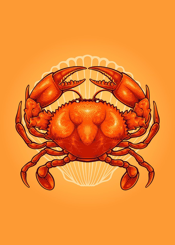 Crab on shell