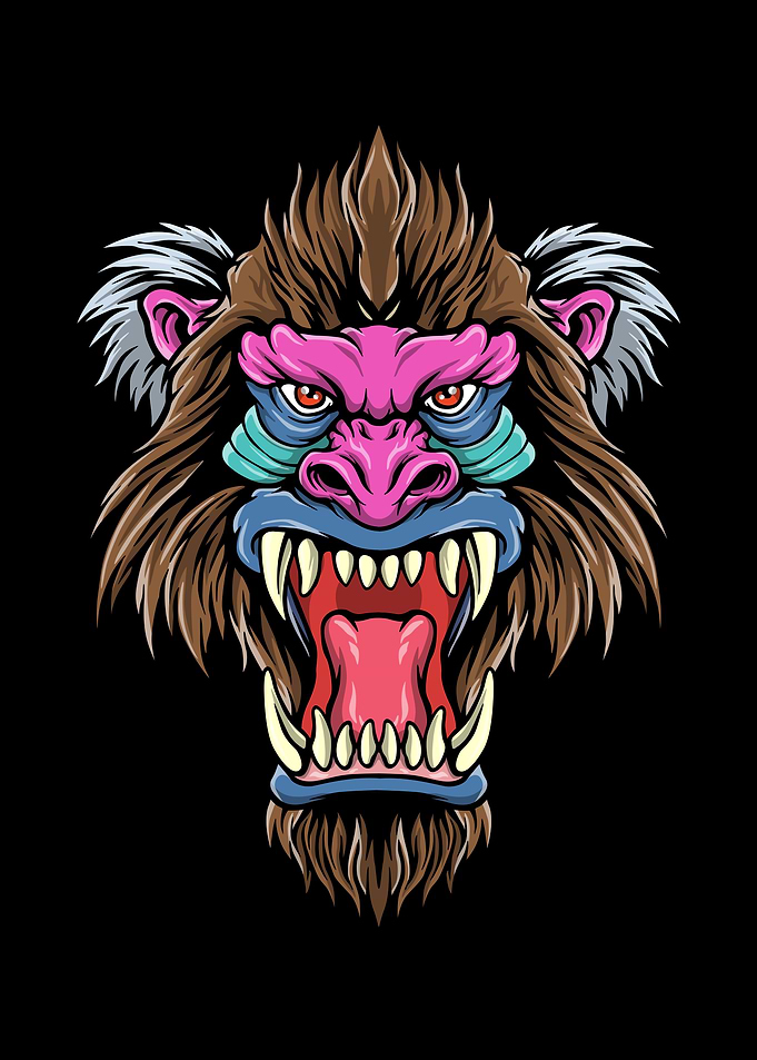 Head of baboon