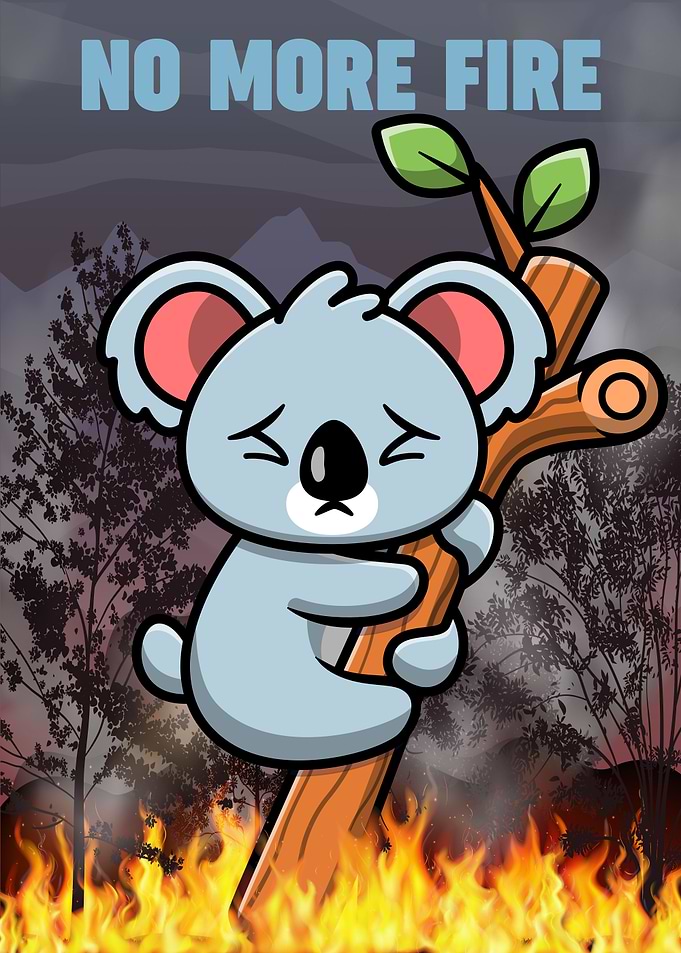 Koala Wildfire Nomore Fire