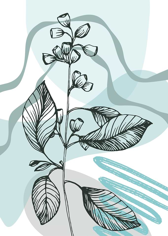 Eucalyptus Minimalist