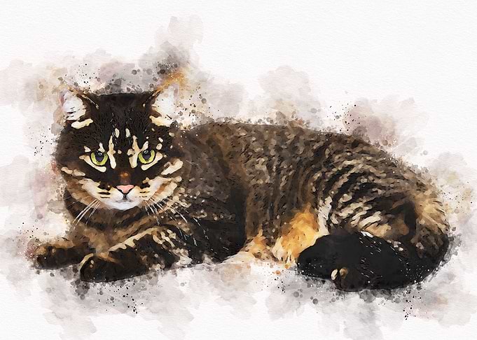 Cute Cat Watercolor