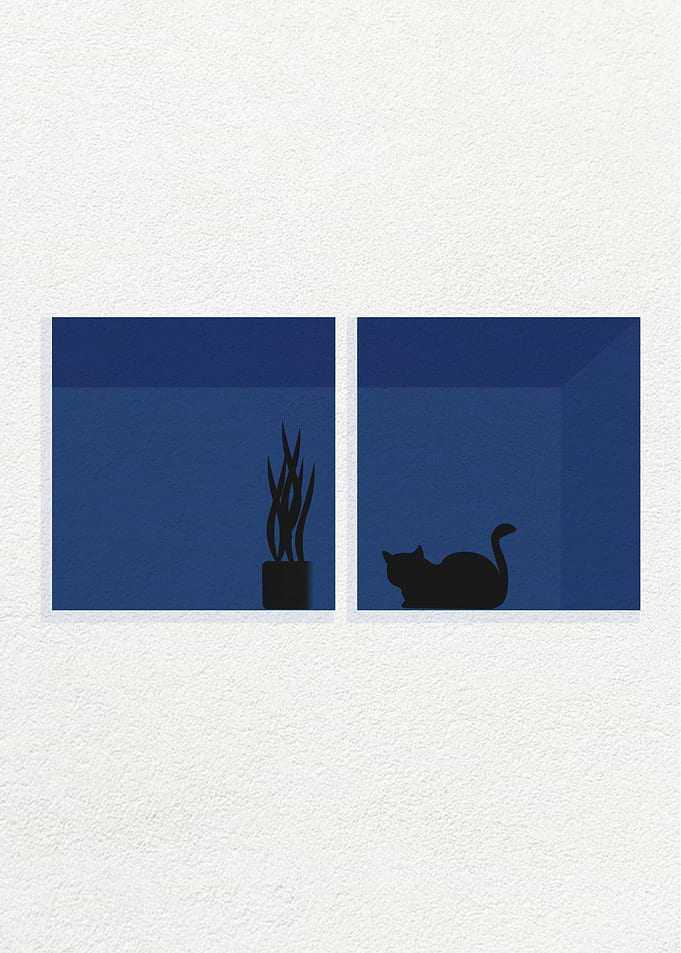 Cat in a Dark Room