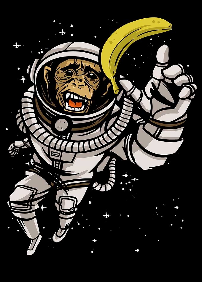 Funny Space Monkey Banana
