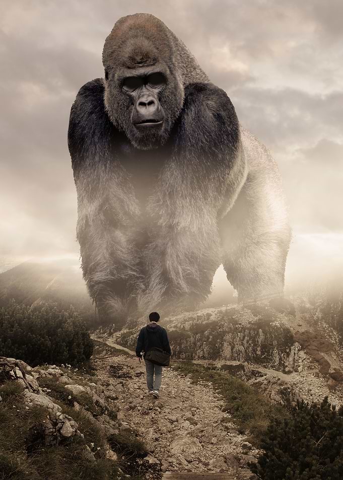 Giant Gorilla vs Man