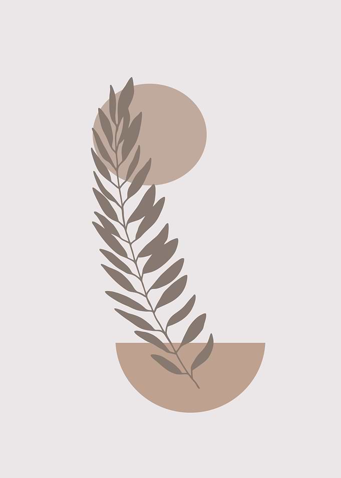 leaf plant