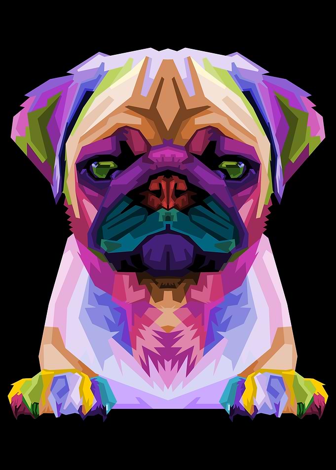 Cute pug on geometric