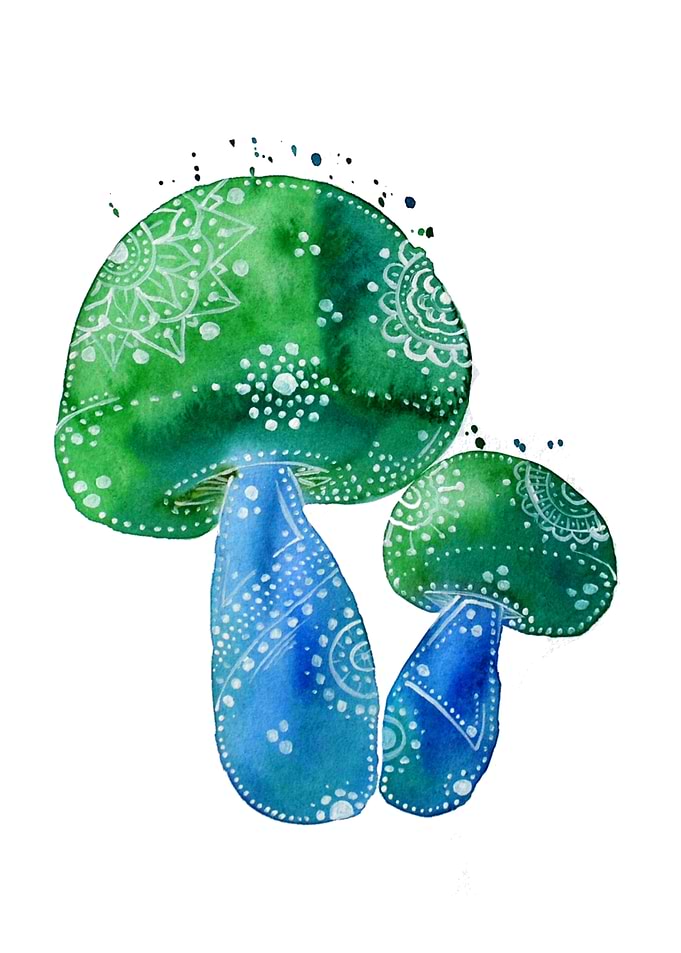 Blue and Green Mushrooms