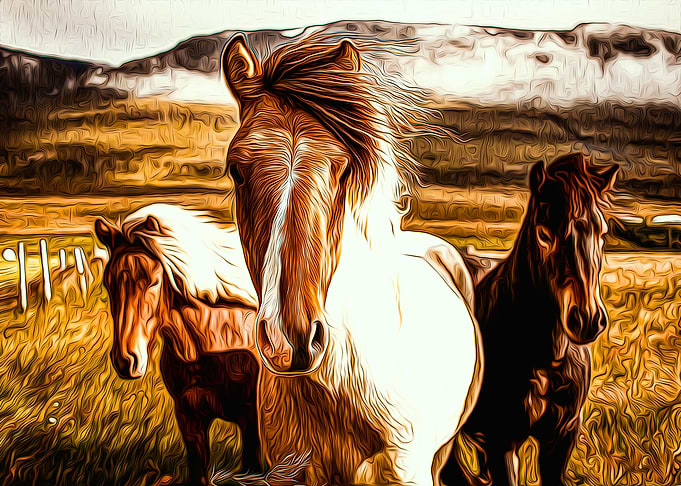 Horse