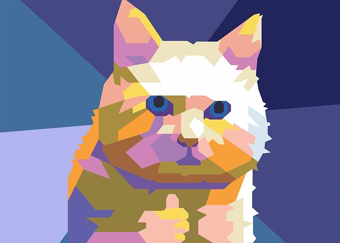 good job cat meme