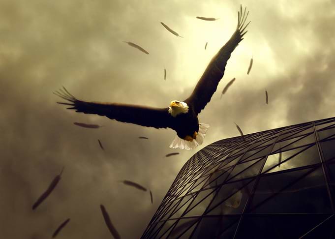 Eagle