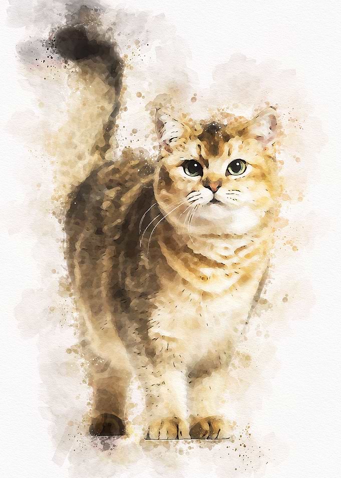 Cute Cat Watercolor
