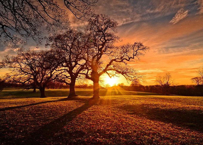 sunset