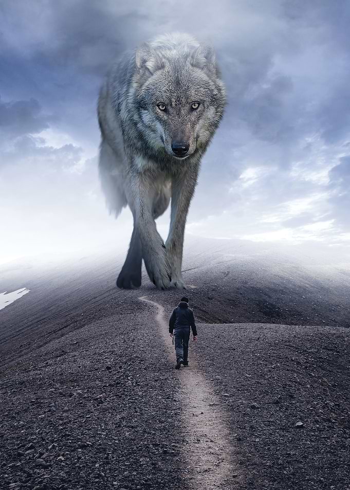 Giant Wolf vs Man Mindset