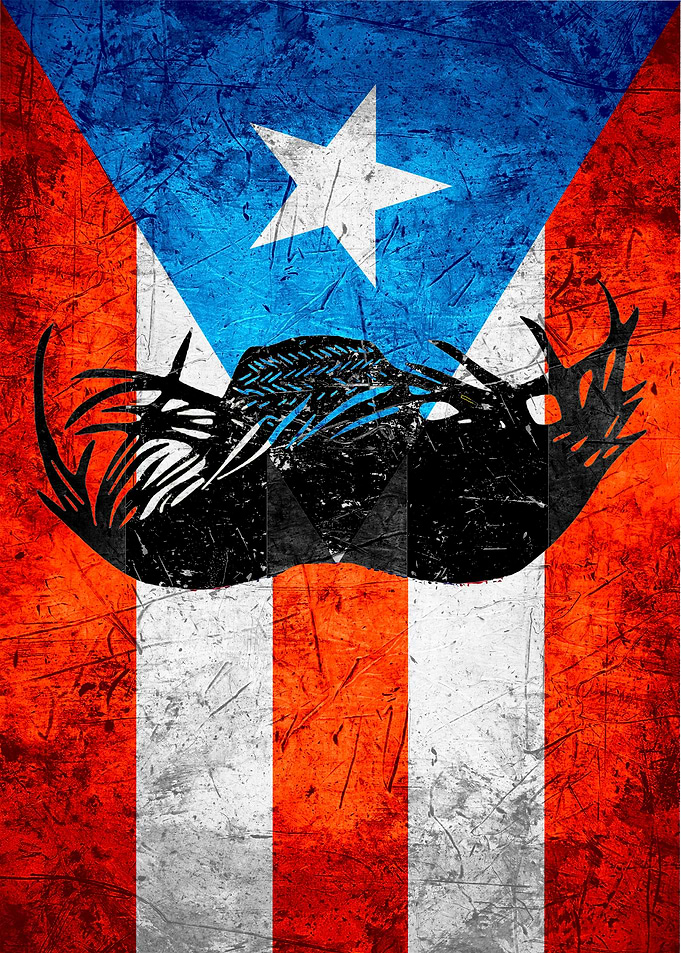 Puerto rican Pava flag