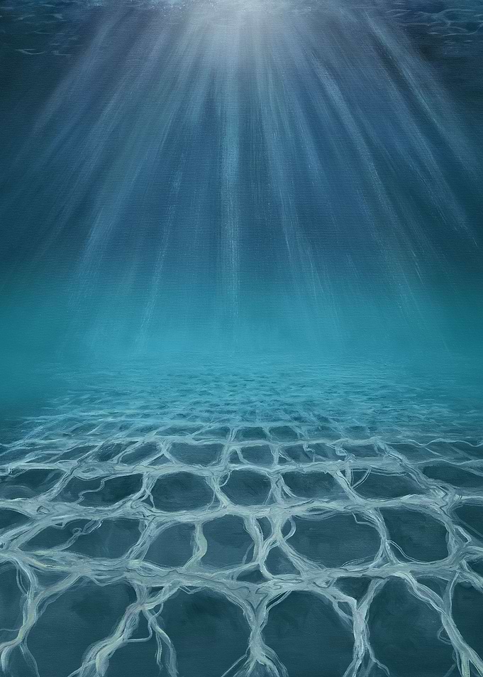 Ocean floor