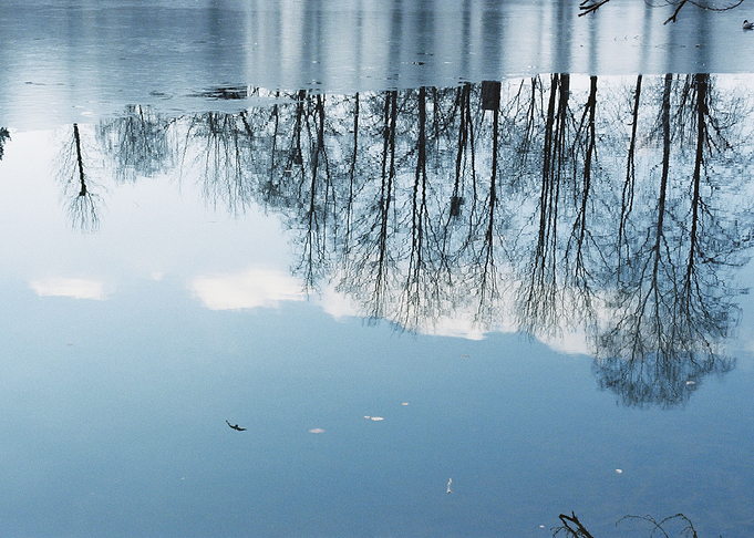 Frozen Reflections