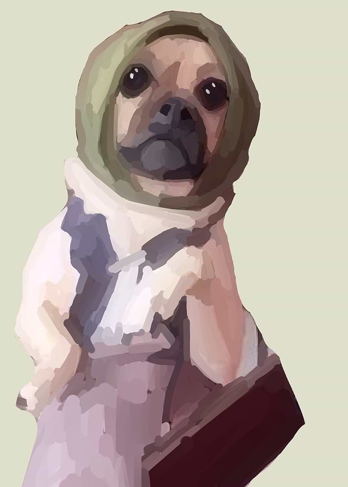 funny dog madam