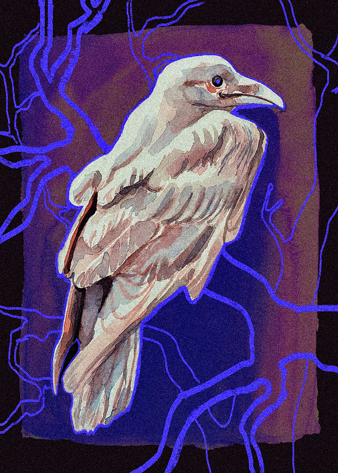 Lone Crow