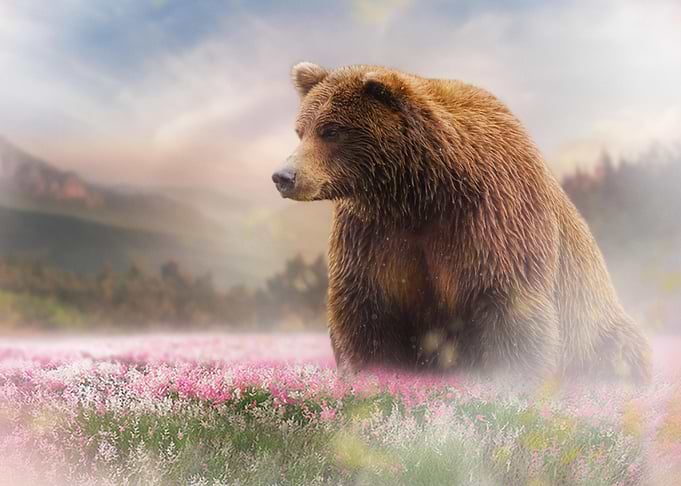 Mystic Animal Pictures