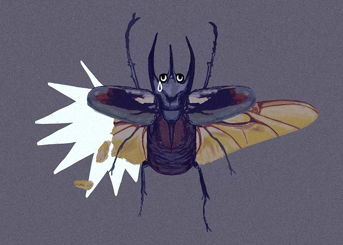 Very sad beetle