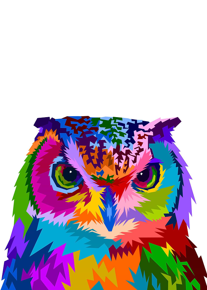 Colorful owl with style