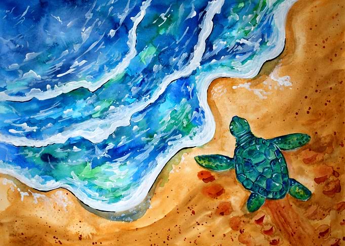 Baby Turtle at the Beach